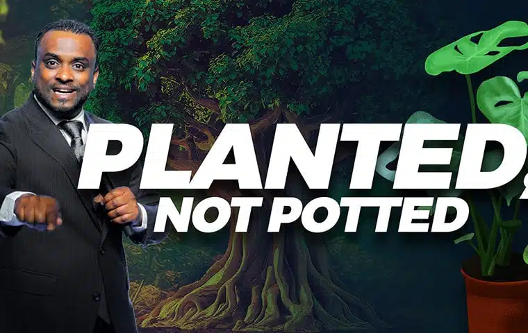 planted