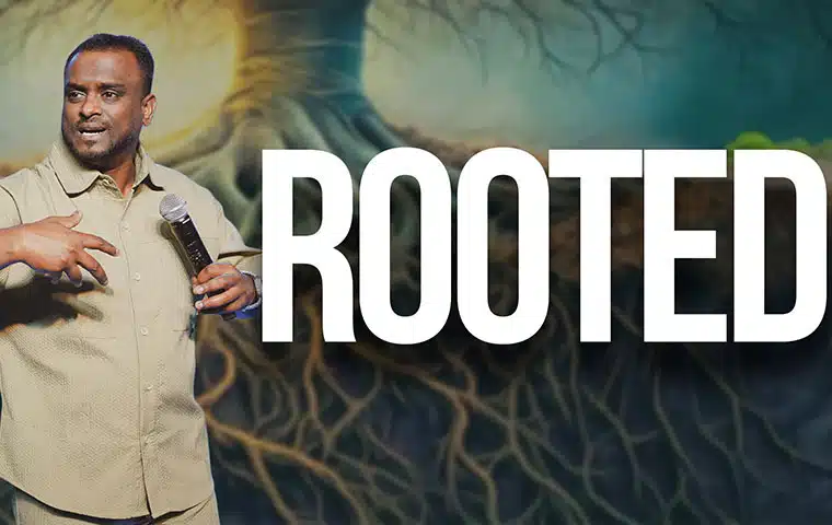 rooted